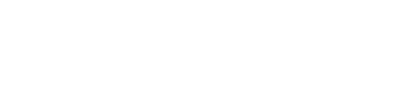 Troy American Fitness logo